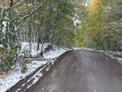 Прикрепленное изображение: 2013-10-06 11.57.23.jpg